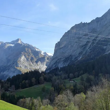Chalet Mettli Daire