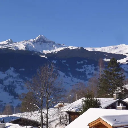 Chalet Mettli Daire *