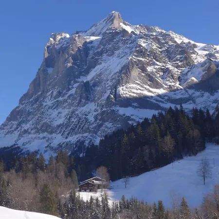 Daire Chalet Mettli Grindelwald