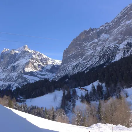 Chalet Mettli Daire *