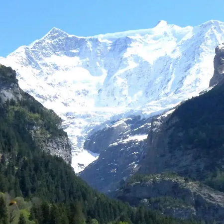 Daire Chalet Mettli *