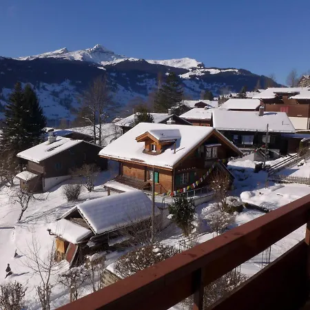 Daire Chalet Mettli *